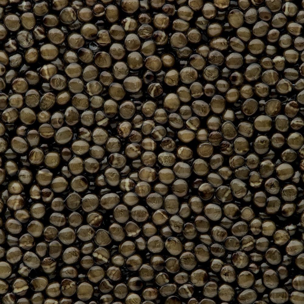 Caviar Sturia - Oscietra 125g