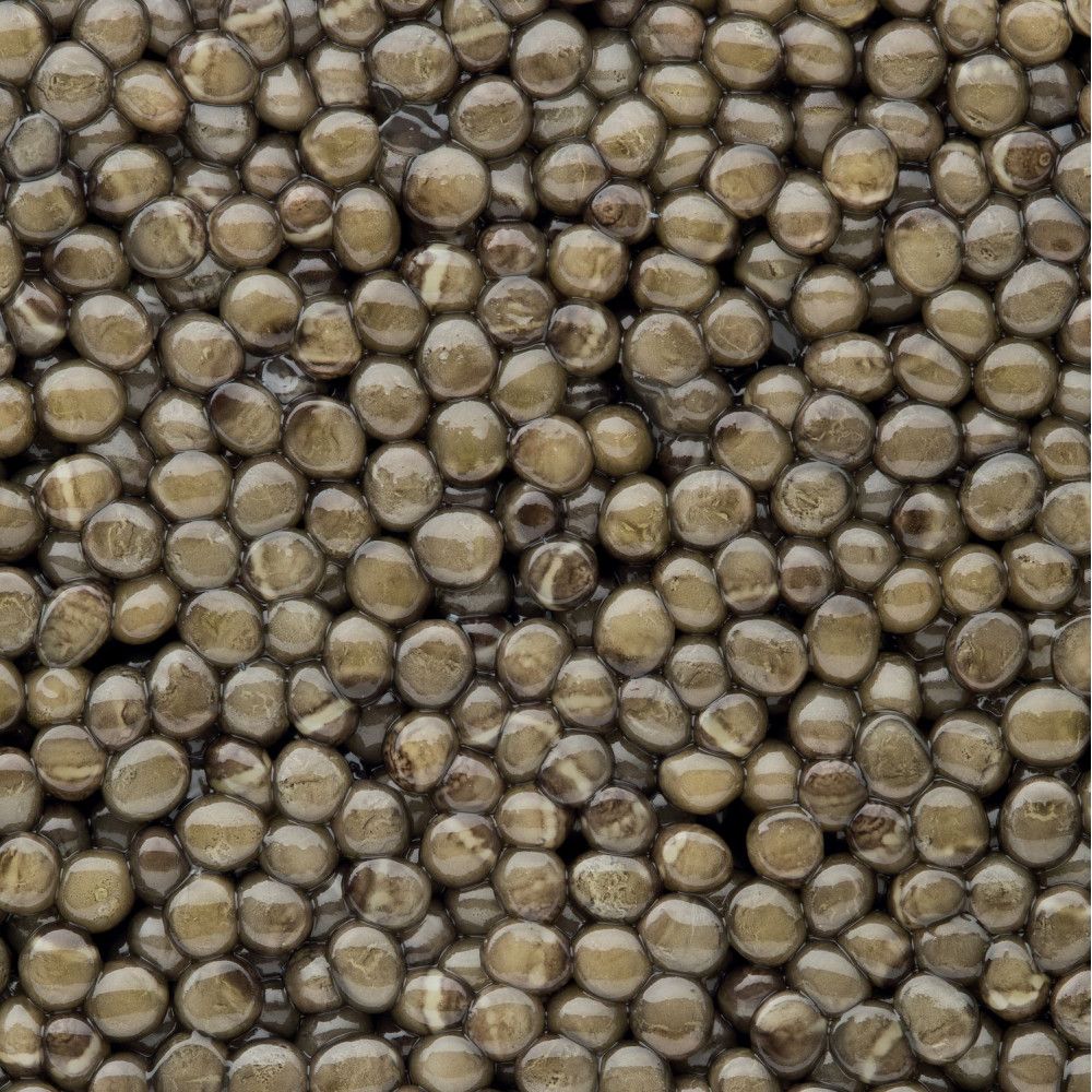 Caviar Sturia - Oscietra 50g